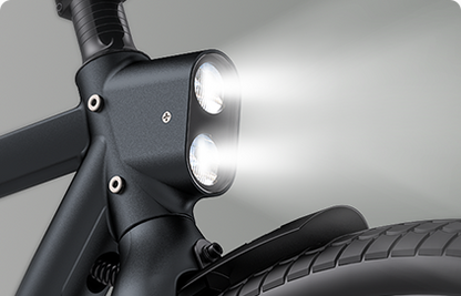 ENGWE P275 Pro