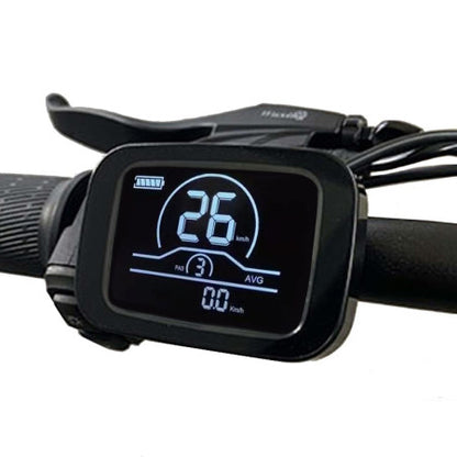 ENGWE M20 original display